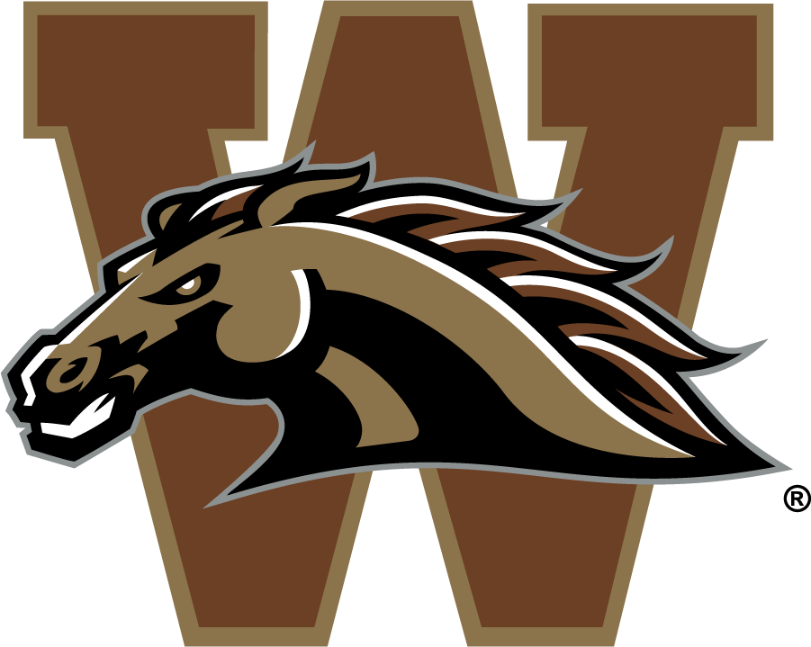 Western Michigan Broncos 1998-2016 Secondary Logo v2 diy iron on heat transfer